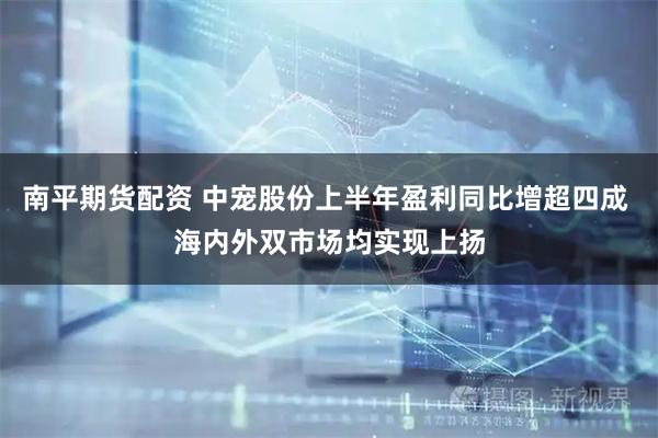 南平期货配资 中宠股份上半年盈利同比增超四成 海内外双市场均实现上扬