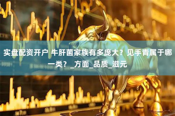 实盘配资开户 牛肝菌家族有多庞大？见手青属于哪一类？_方面_品质_滋元