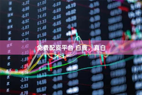 免费配资平台 白鹿，真白
